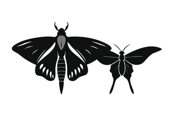 Two black silhouettes of moths or butterflies on a white background