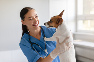Cheerful veterinarian cradles a friendly Jack Russell Terrier, sharing a smile during a positive...
