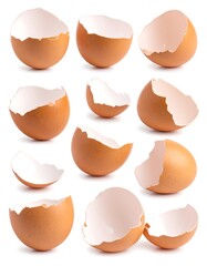 Broken egg shells arranged on a white background