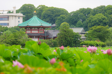 不忍池と弁天堂の風景