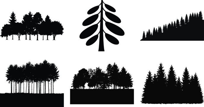 Forest silhouette vector set with pine and deciduous tree groups for nature, park, and landscape illustration.