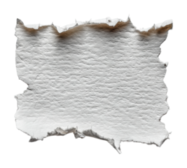 Torn white paper texture detail minimalistic isolated on transparent background, png