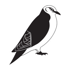 Detailed Black and White Illustration of a Bird