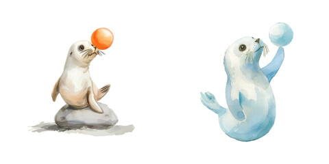 seal ballancing a ball watercolor vector illustration