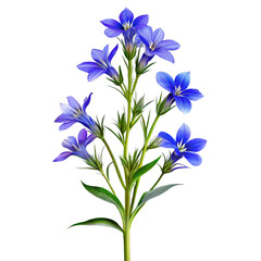 Delicate blue lobelia flowers on green stem purple