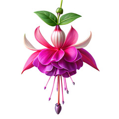 Vibrant fuchsia flower with delicate petals and green leaves pink purple