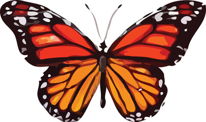 butterfly vector art