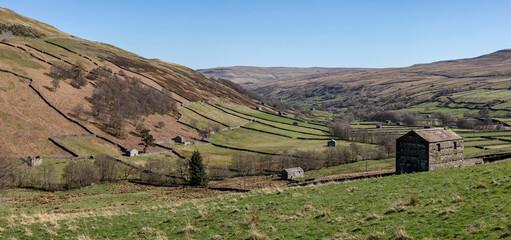 elevated panoramic view of swaledale yorkshire dales england farmland at thwaite with stone barns...