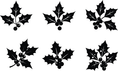 holly branch vector illustration black silhouette here white color is the transparent, background color