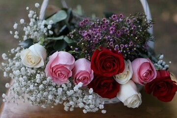 Multicolored roses, rose, flowers, flower, gift, greeting, day