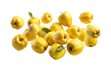 Beautiful still life shot of delicious and fresh yellow quince fruit