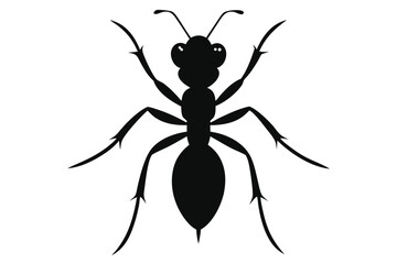 Black silhouette of an ant on a white background