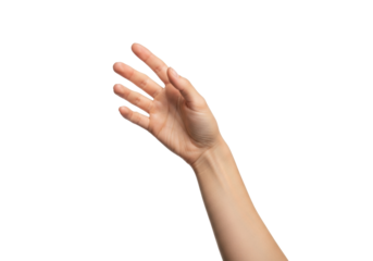 Adult human hand and forearm with natural healthy skin, fingers slightly spread and extended, reaching subtly upwards, isolated on a transparent studio background with ample copy space, high key