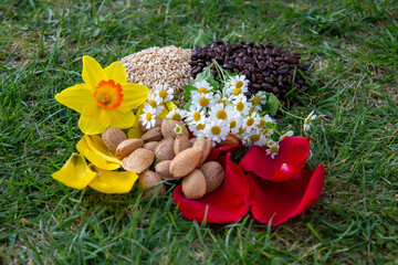 Arrangement of Natural Ingredients Including Flowers, Nuts, and Grains on Grass