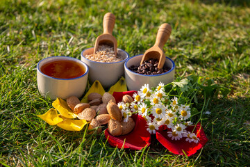 Natural Ingredients Display with Almonds, Honey, Grains, and Chamomile Flowers Outdoors