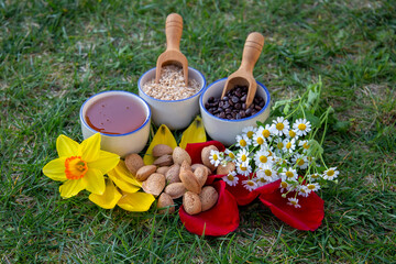 Natural Ingredients Displayed with Flowers and Wooden Scoops Outdoors