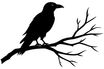 Obraz premium Raven perched on a bare branch silhouette vector illustration