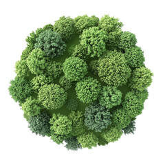 Lush green forest viewed from above showcasing diverse tree canopies in vibrant hues of green on transparent background