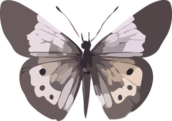 butterfly vector art