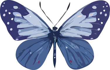butterfly vector art