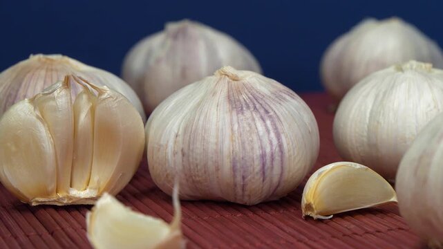 Garlic rotates on dark blue background. Garlic - very healthy product with many beneficial properties for health. Allium sativum, species of bulbous flowering plants in genus Allium
