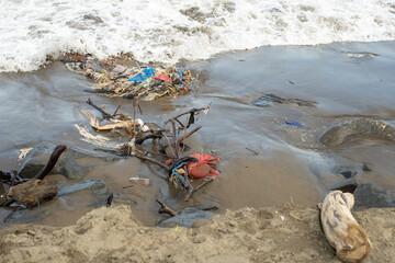 Colorful plastic and debris washed ashore, polluting the beach and ocean. A powerful reminder of...