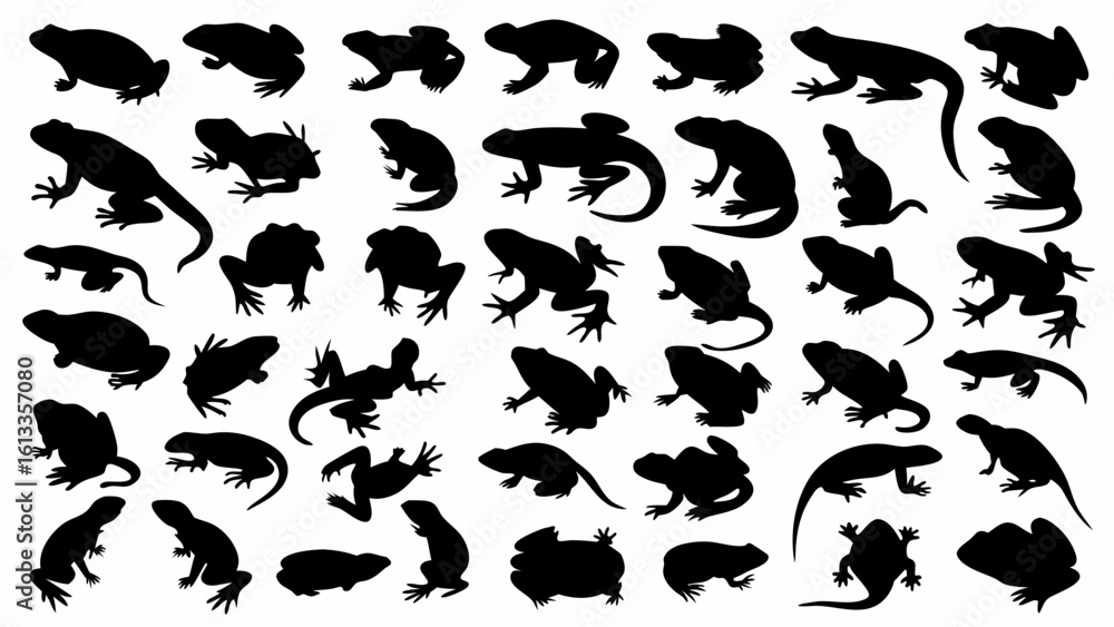 Poster silhouette collection of various frogs and lizards in different poses and orientations on white back