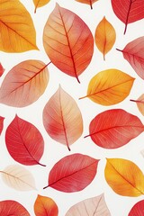 Scattered translucent orange and yellow leaves create a warm, overlapping autumn pattern with vibrant seasonal energy.