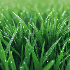 Fresh green grass with dew droplets in natural sunlight  