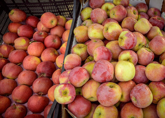 Fruits in a supermarket. Apples.