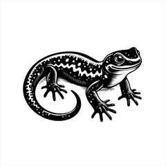 Naklejka premium Lizard illustration