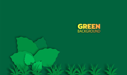 Tropical Jungle background. Leaves of the tropical trees and plants