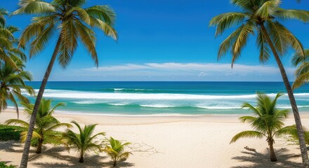 Obraz premium Escape to paradise with stunning turquoise waves and palm trees framing a pristine white sand beach under a clear blue sky