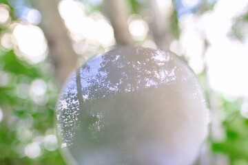Enchanted Forest with Crystal Ball Reflecting Tranquil Nature and Vibrant Colors.