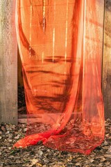 Beautiful Rustic Wooden Backdrop with Translucent Orange Fabric and Autumn Leaves.