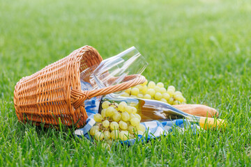 Picnic basket with wine, grapes, and baguette