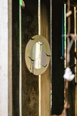 Rustic Plate Art on Weathered Wood Fence Unique Outdoor Decor and Creative Expression.