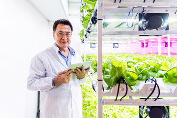 Engineer in a high-tech indoor vertical farm using a tablet to monitor hydroponic lettuce growth. Smart agriculture innovation for efficient, sustainable food production in modern urban settings.