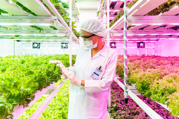 Scientist inspects leafy greens in a vertical hydroponic farm under LED grow lights. Modern agriculture innovation ensures clean, sustainable food production in urban environments using smart tech.