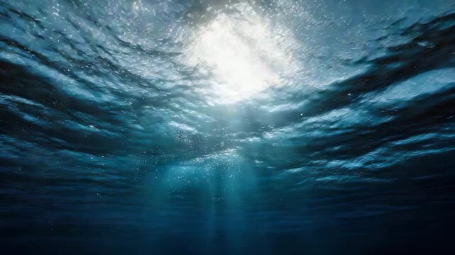 Natural Underwater Landscape 