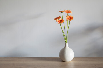 orange gerber in vase on background white wall