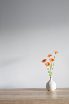 orange gerber in vase on background white wall
