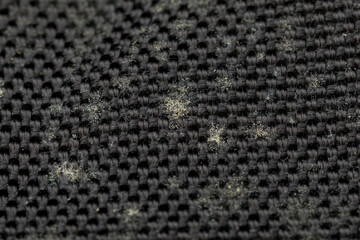 Close-Up of Mold Growth on Black Cloth