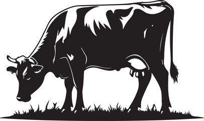 Peaceful Cow Grazing in Field