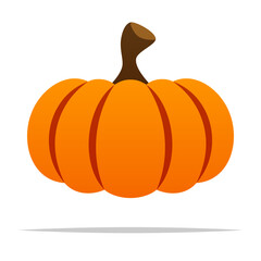 Autumn pumpkin thanksgiving vector isolated illustration