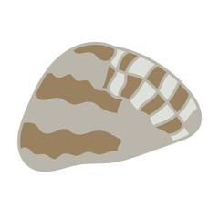 A clean flat illustration features a solitary seashell. 
