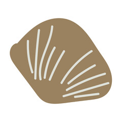 Vector illustration of a shell on white background. 