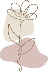 Boho Floral Aesthetic
