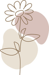 Boho Floral Aesthetic