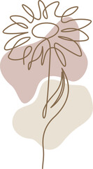 Boho Floral Aesthetic